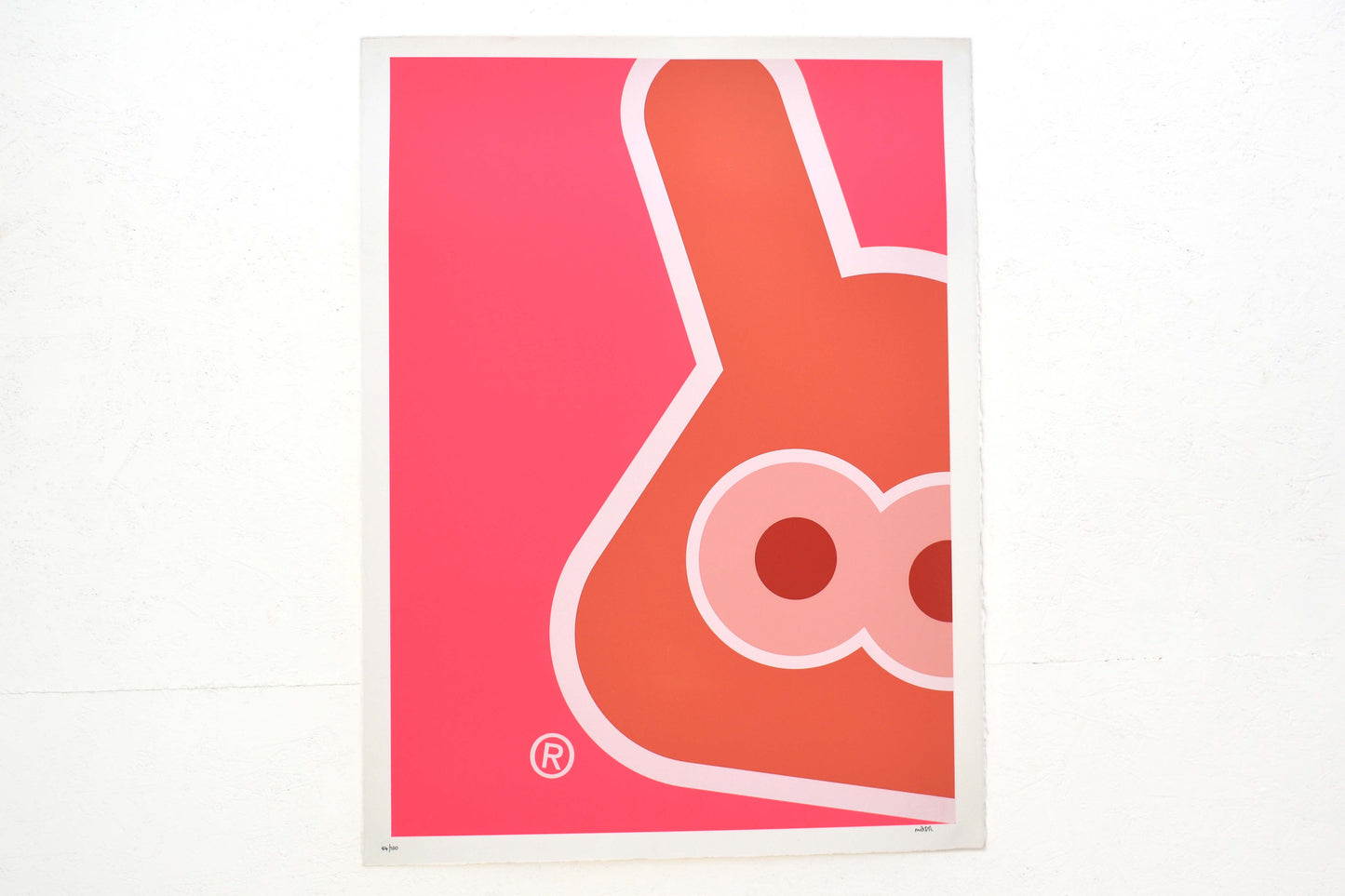 DR Hoppa™ (Wipeout) Screenprint