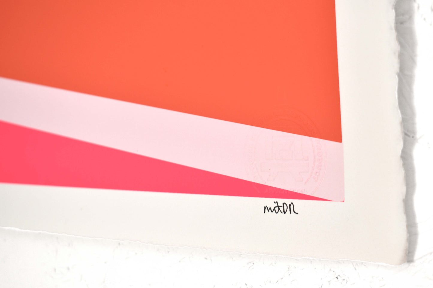 DR Hoppa™ (Wipeout) Screenprint