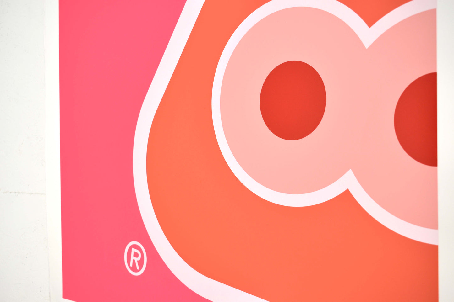 DR Hoppa™ (Wipeout) Screenprint