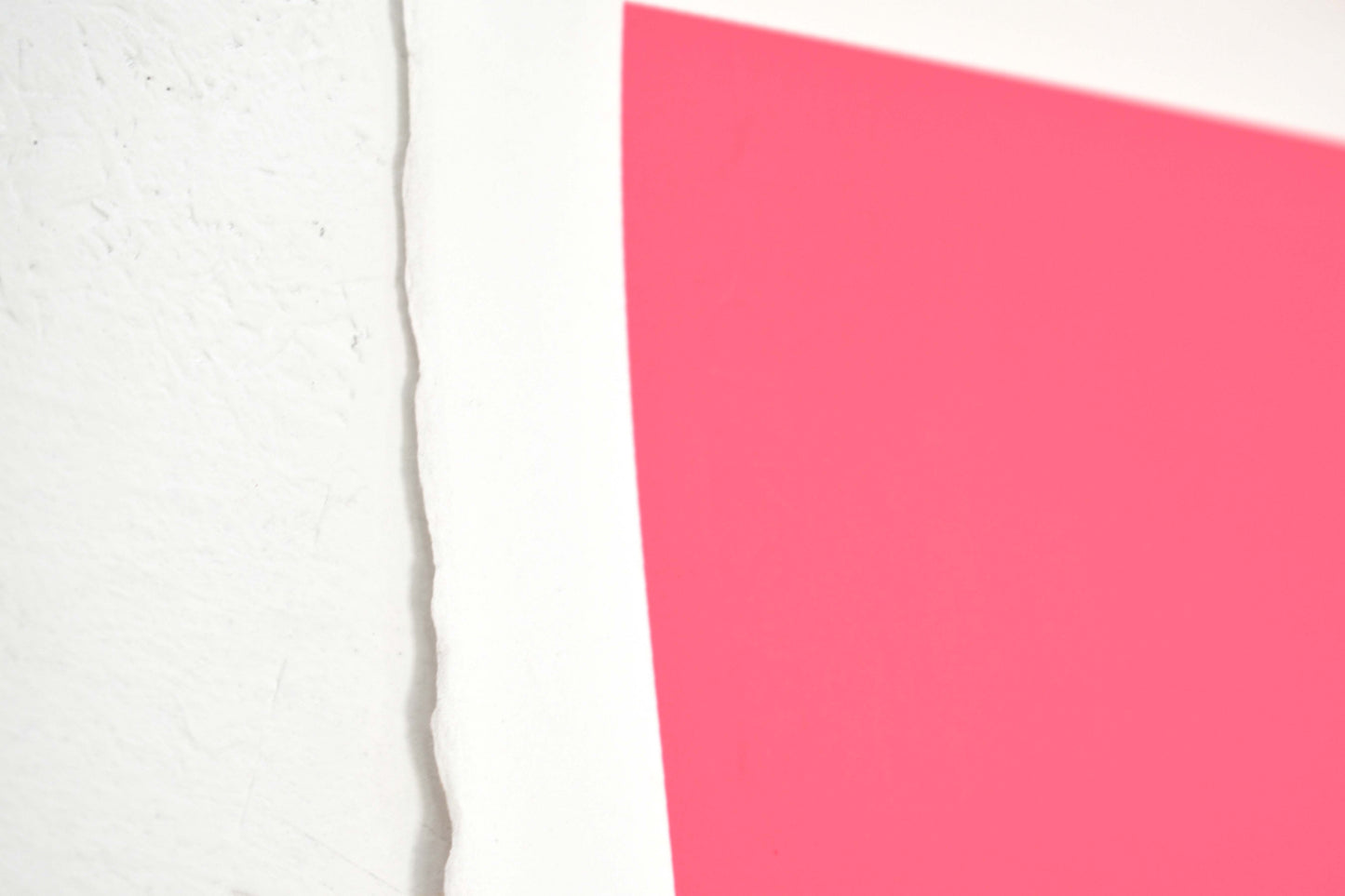 DR Hoppa™ (Wipeout) Screenprint