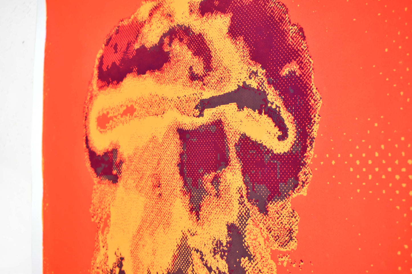 Is This Doable? Screenprint