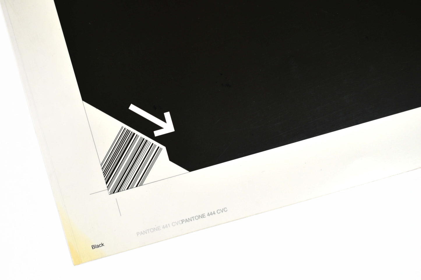 Phoenicia - Randa Roomet - Printers Proof / B&W Digital Chromalin