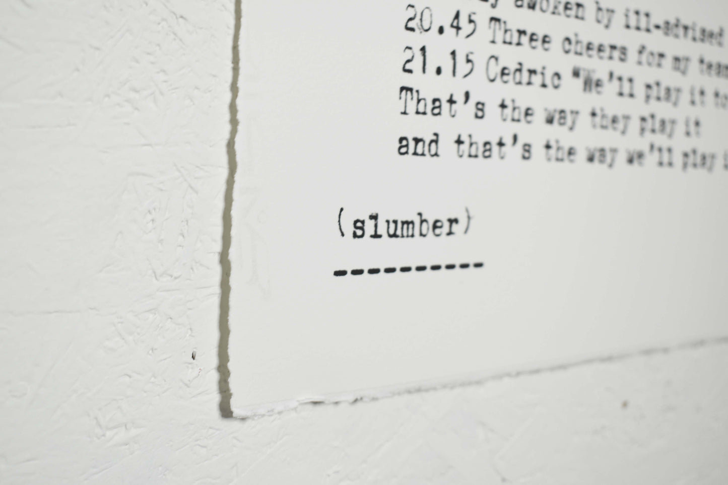 I am a cockerel. My name is Storm - The Twelve Signs of Life & Death