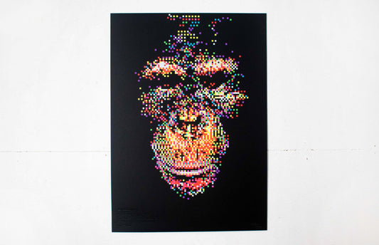 TDR™40 - "We Are Fifth Apes" - Screenprint