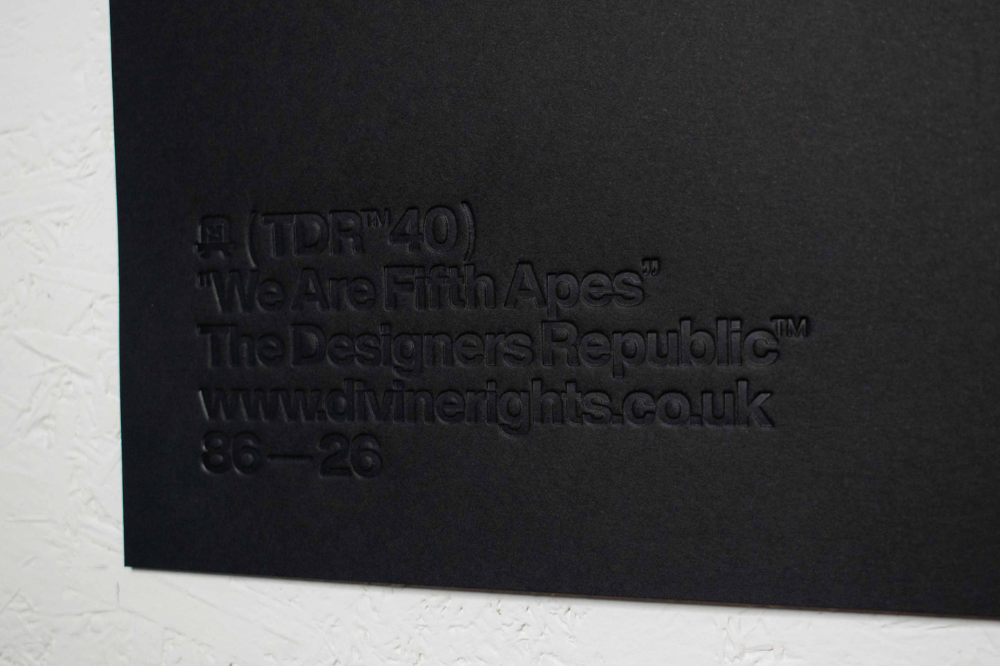 TDR™40 - "We Are Fifth Apes" - Screenprint